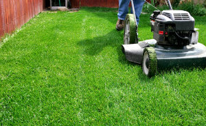 Lawn Mowing Kilburn